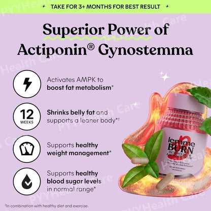 Belly Fat Burning Metabolism AMPK Activating Supplement for Men Women Actiponin Gynostemma Vitamins B6 B12 60 Capsules